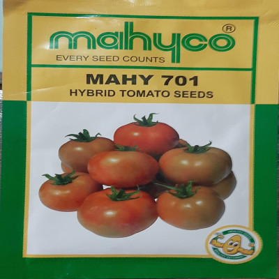 MAHYCO 701